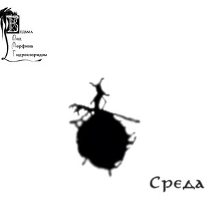 Среда