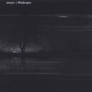 Bleakscapes