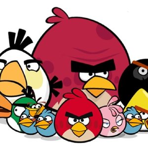 Birdies