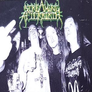 Avatar de Screaming Afterbirth