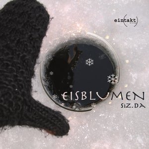 Eisblumen