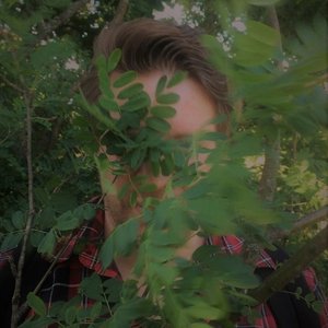 Avatar for Pasi Salmi
