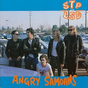 Stp Not Lsd