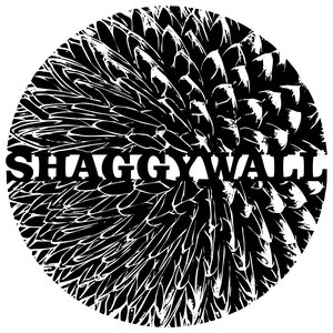 Image for 'ShaggyWall'