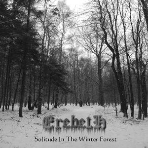 Solitude In The Winter Forest