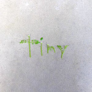 tiny - Single