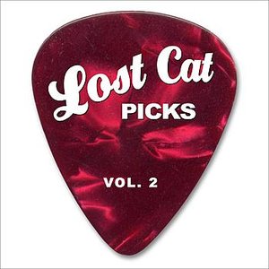 “Lost Cat Picks Vol. 2”的封面