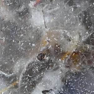 Fluctuation Of Being
