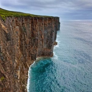 Alea Bluff 的头像