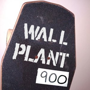 Wallplant 900 的头像