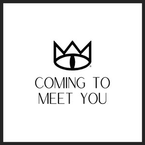 Coming to Meet You - Single