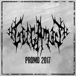 Promo 2017