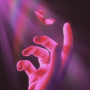 Rafters - Single