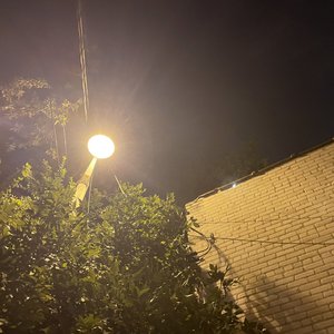 garden of noise
