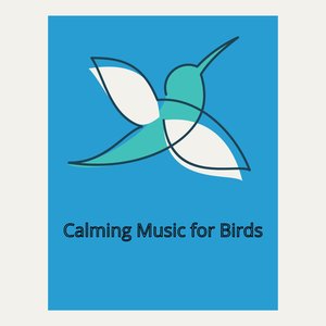 Calming Music for Birds