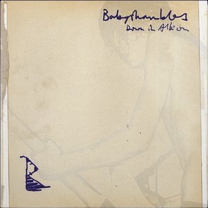 Cover Babyshambles – 352 Days