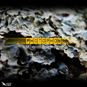 [laridae045] Memplex