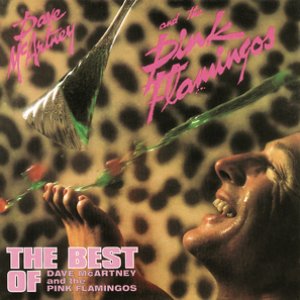 The Best of Dave McArtney and The Pink Flamingos