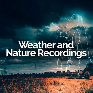 Avatar di Weather and Nature Recordings