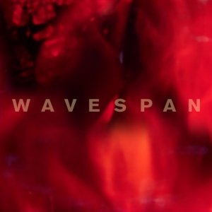 “Wavespan”的封面