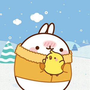Molang 的头像