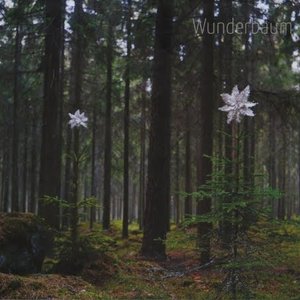 Wunderbaum