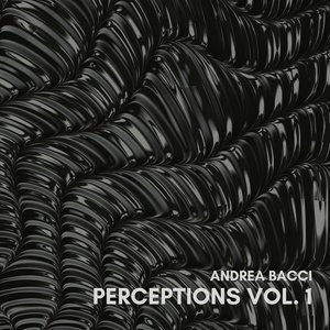 Perceptions Vol. 1