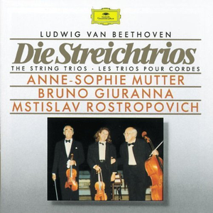 Die Streichtrios cover