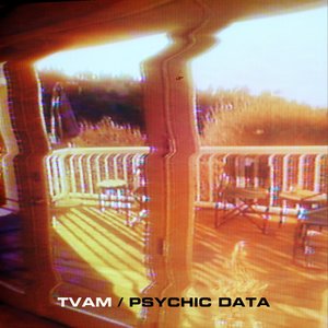 Psychic Data - Single