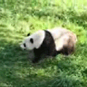 Radex 的头像