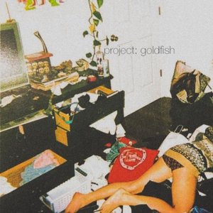 project: goldfish