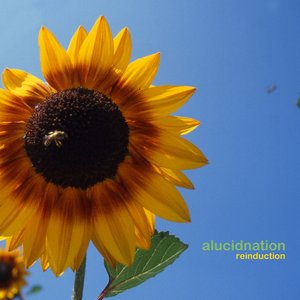 Re-induction (Part 1)