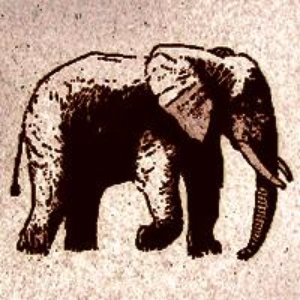 Avatar for An Elephant Never Forgets