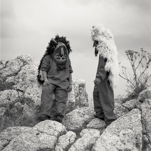 In the Image of Perfection