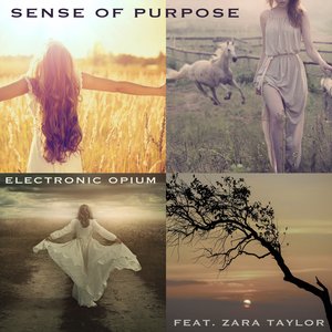 Sense of Purpose