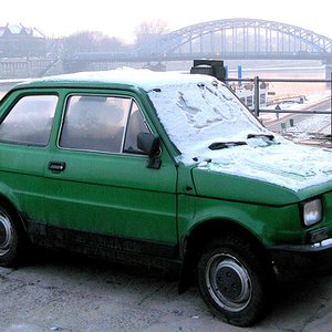 El Polaco Auto 的头像