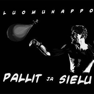 Image for 'Pallit ja Sielu'