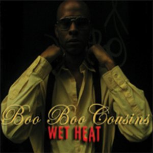 WET HEAT