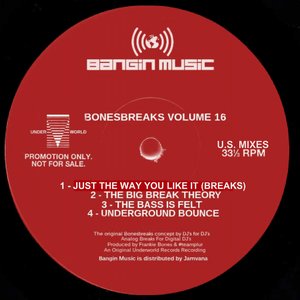 BONESBREAKS VOL 16