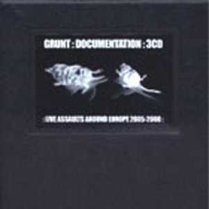 Documentation: Live Assaults Around Europe 2005-2008