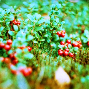 Звуки Природы; Серия звуков природы 的头像
