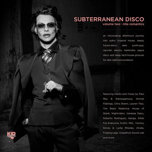 Subterranean Disco, Vol. 2: Nite Romantics