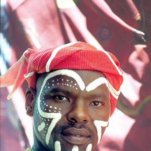 “The Dizu Plaatijies Ibuyumbo Ensemble”的封面