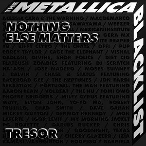 Nothing Else Matters - Single