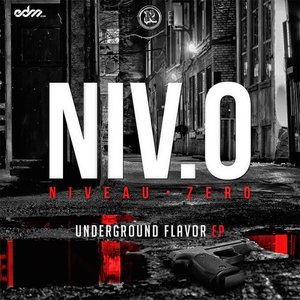 Imagen de 'Underground Flavor EP'