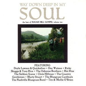 'Way Down In My Soul: Best Of Sugar Hill Gospel Volume 2' için resim