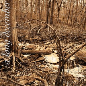 A Long December - Single