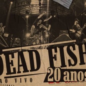 20 Anos - Volume 1