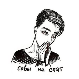 совы не спят 的头像