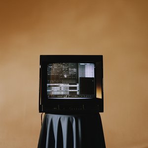 Trust / Verify - Single